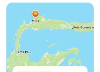 Tolitoli Sulteng Diguncang Gempa 4,3 Magnitudo