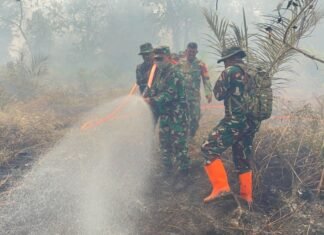 70 Hektar Lahan Gambut di Bengkalis Terbakar