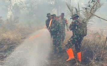 70 Hektar Lahan Gambut di Bengkalis Terbakar