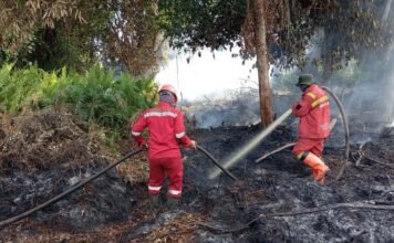 Respons Cepat Manggala Agni, Karhutla di Rimbo Panjang Tak Sempat Meluas