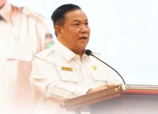 Upaya Tingkatkan PAD, Plt Gubri Minta Sektor Usaha Dukung Investasi di Riau