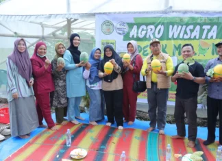 Panen Melon, Bupati Afni : Bukti nyata Dana Desa Tingkatkan PAD