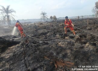 Titik Baru Karhutla Terdeteksi di Bangko