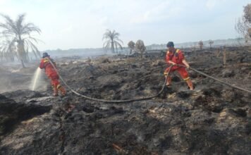 Titik Baru Karhutla Terdeteksi di Bangko