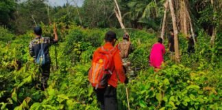 Tim SAR Gabungan Sisir Kebun Cari Lansia 80 Tahun yang Hilang di Meranti