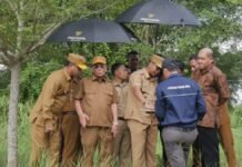 Sambut Program Sekolah Terintegrasi, Rohil Siapkan Lahan 26 Hektare