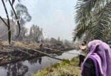 Ketua Tim Penggerak PKK Siak Turun ke Garis Depan Padamkan Karhutla