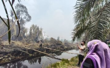 Ketua Tim Penggerak PKK Siak Turun ke Garis Depan Padamkan Karhutla