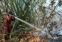 Manggala Agni Masih Berjibaku Padamkan Karhutla di 4 Daerah