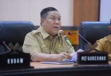 Plt Gubri SF Hariyanto Dorong Perluasan Agen Perlinsos di Riau