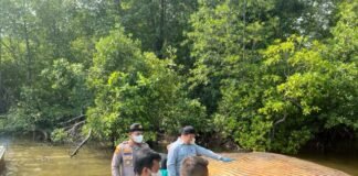 KKP Kirim Sampel Bangkai Paus di Inhil ke BRIN