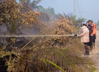 Bupati Kasmarni Ikut Padamkan Karhutla di Sungai Meranti