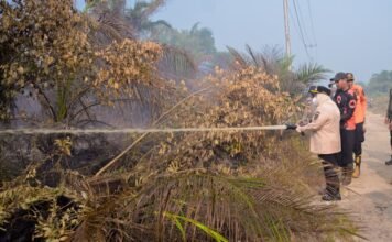 Bupati Kasmarni Ikut Padamkan Karhutla di Sungai Meranti