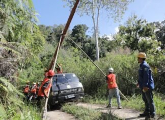 Menyala di Lembah Mandailing, Listrik 24 Jam PLN Buka Jalan Cita-Cita Anak Desa Patialo