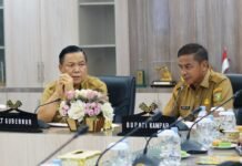 Jembatan Rumbio hingga Candi Muara Takus Jadi Perhatian Pemprov Riau