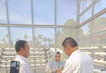 Bupati Kasmarni Ajak Warga Manfaatkan Pekarangan Rumah Tanam Aneka Sayuran