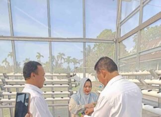 Bupati Kasmarni Ajak Warga Manfaatkan Pekarangan Rumah Tanam Aneka Sayuran