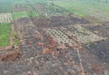 Korporasi Riau Tak Tersentuh: Memperpanjang Riwayat Buruk Penegakan Hukum Karhutla Riau