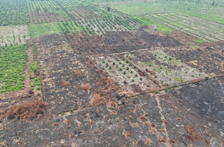 Korporasi Riau Tak Tersentuh: Memperpanjang Riwayat Buruk Penegakan Hukum Karhutla Riau